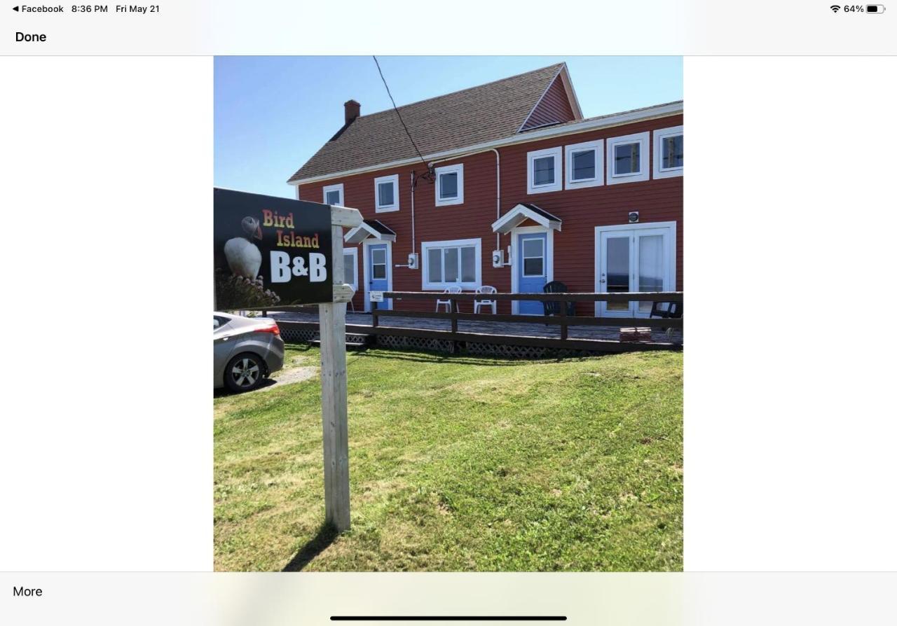 Bird Island B&B Bed And Bubble Elliston Eksteriør bilde