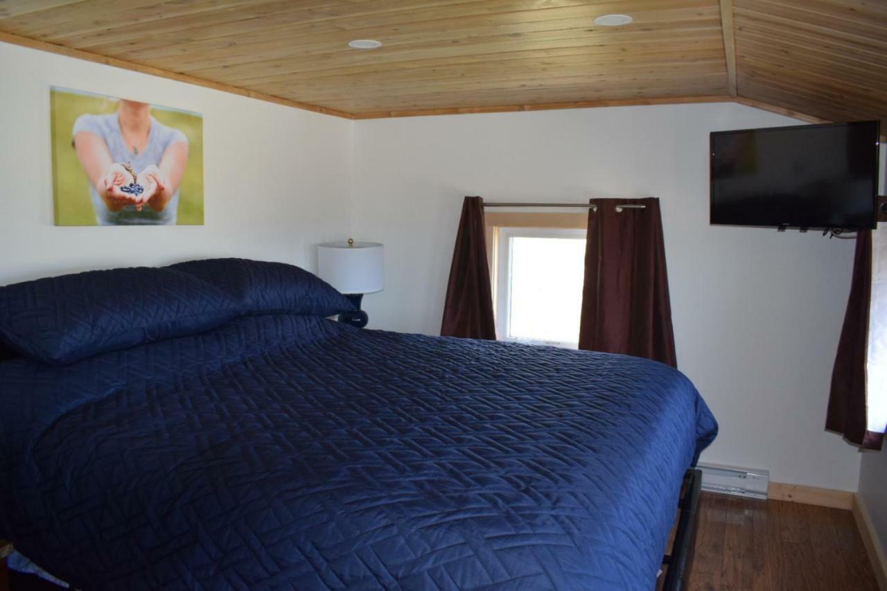 Bird Island B&B Bed And Bubble Elliston Eksteriør bilde