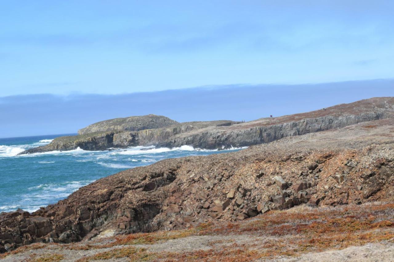 Bird Island B&B Bed And Bubble Elliston Eksteriør bilde