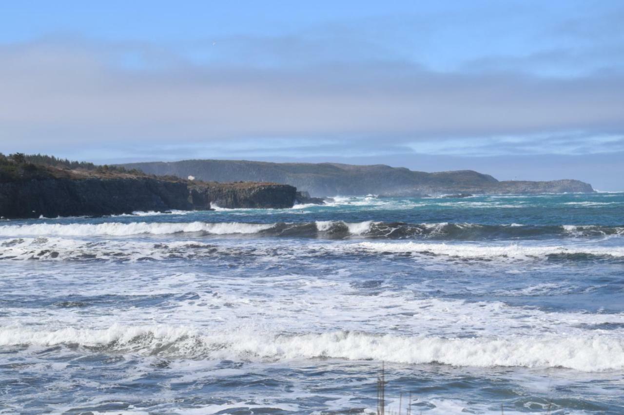 Bird Island B&B Bed And Bubble Elliston Eksteriør bilde